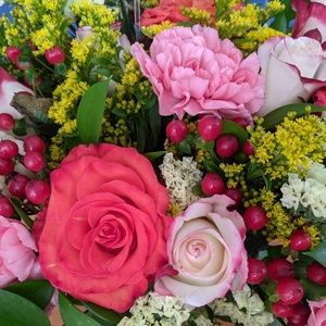 Meet your Posher, Janina